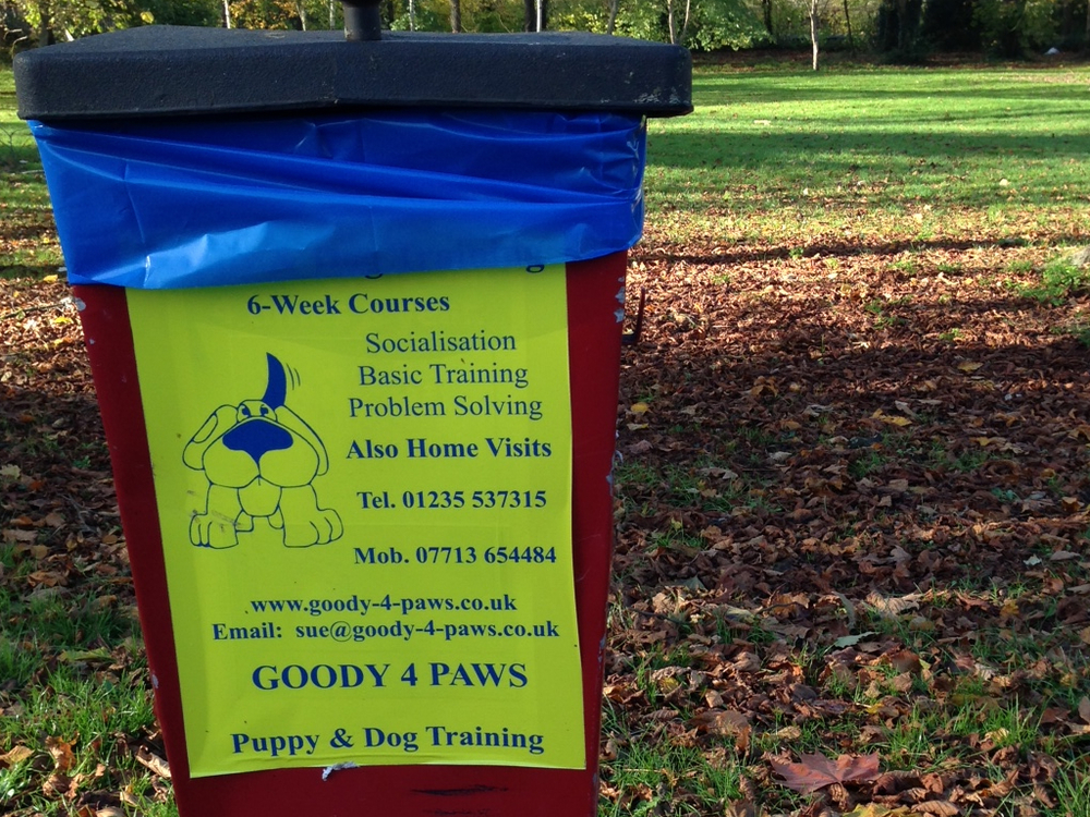 Problem Solving For Dogs.jpg